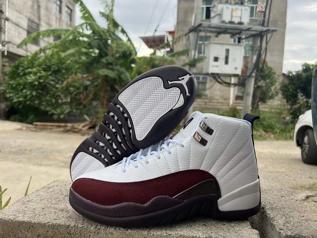 Air Jordan 12-304